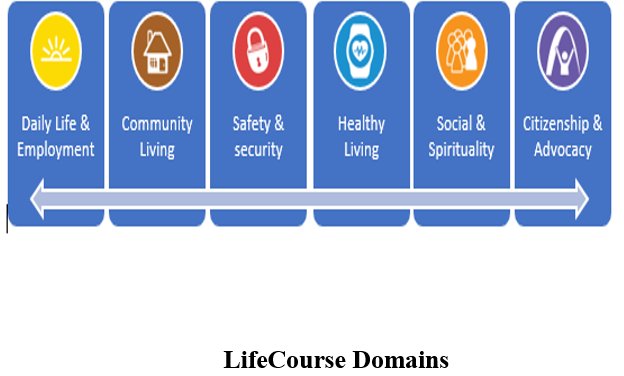 The six LifeCourse domains are Daily Life & Employment, Community Living, Safety & Security, Healthy Living, Social & Spirituality, Citenship & Advocact