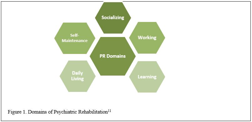 Figure 1. Domains of Psychiatric Rehabilitation (Socializing, Working, Learnind, Daily Living, Self-Maintenance)